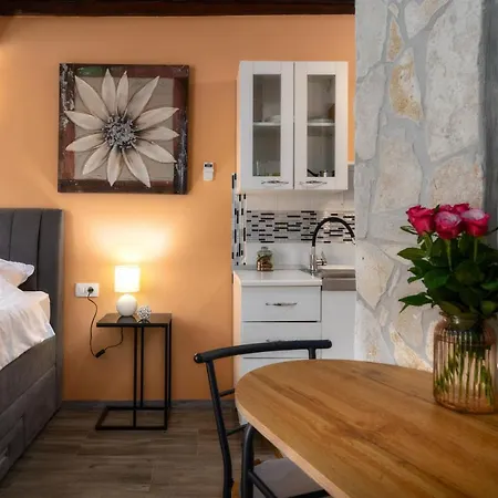 Casa Albina Apartment Rovinj Exterior photo